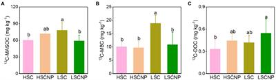 Tradeoffs of microbial life history strategies drive the turnover of microbial-derived organic carbon in coastal saline soils